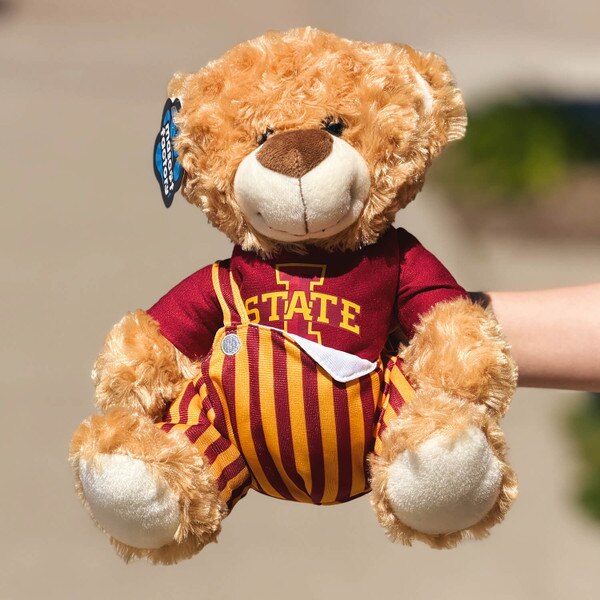 I-State Cardinal and Gold Game Bib Bear front